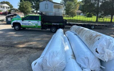 What to Expect from Artificial Turf Installation Services Near You in Louisville
