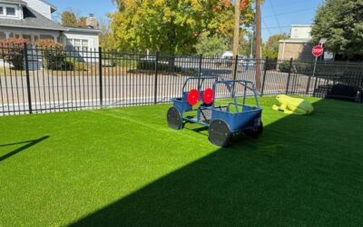 How to Tell if Grass Turf is Quality