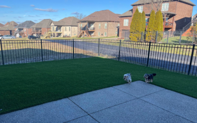 Is Artificial Turf in Tampa, FL Pet-Friendly and Safe for Kids?