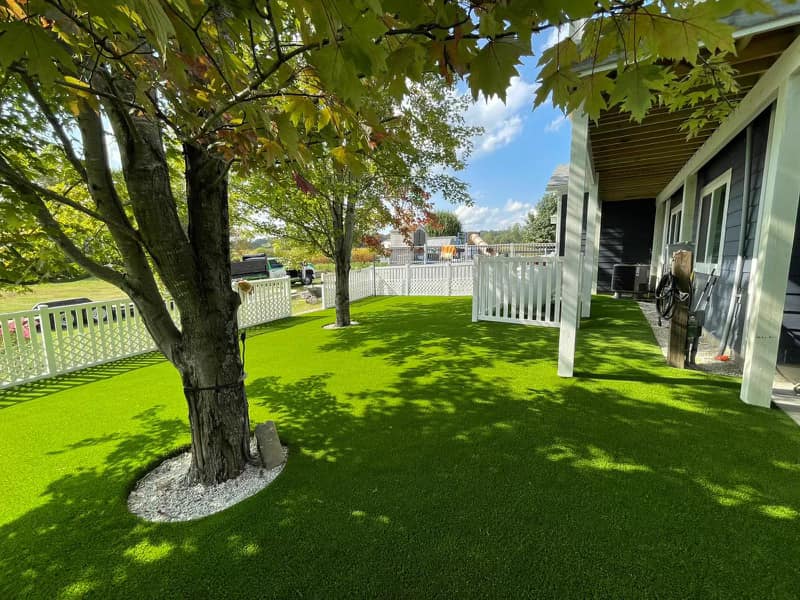 grass alternatives for Tampa, FL