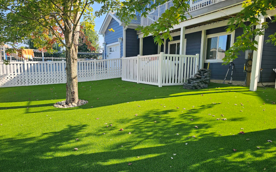 artificial turf in lexington