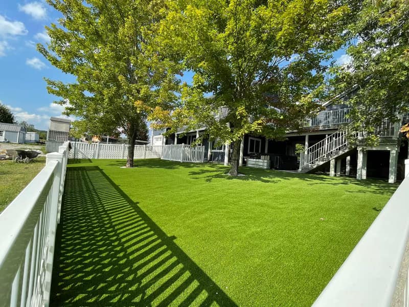 artificial turf in tampa