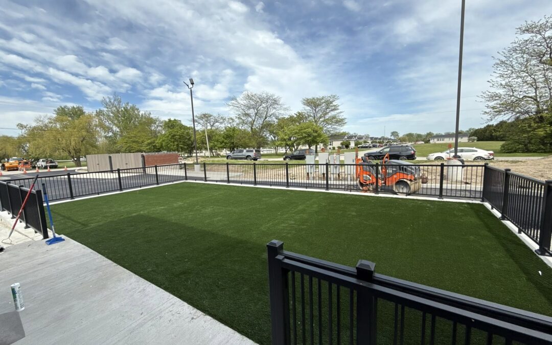 artificial turf