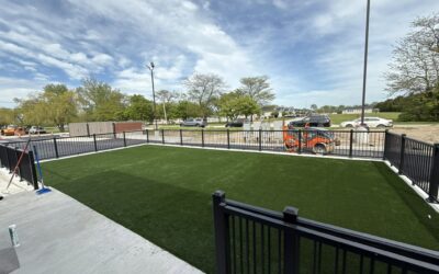 Why Tampa Homeowners Are Switching to Artificial Turf
