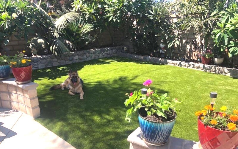 Professional Artificial Turf For Pets Company