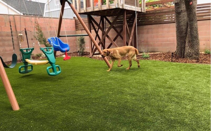 Expert Pet Artificial Turf Business