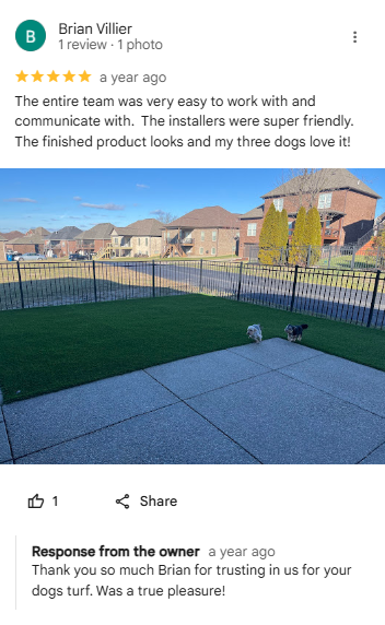 artificial turf in tampa